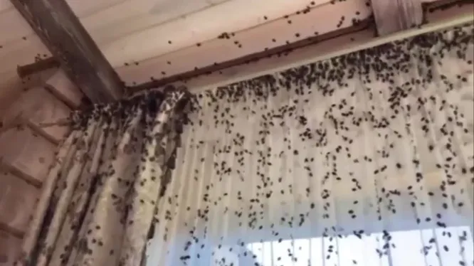 Нажми и смотри Нажми и смотри