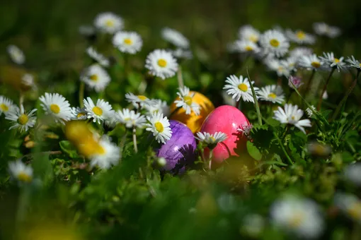 Пасхальным яйцам нашли неожиданную замену Пасхальным яйцам нашли неожиданную замену