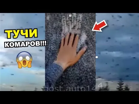 Нажми и смотри Нажми и смотри