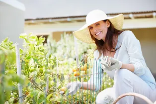 Паутинный клещ не пройдёт: вот как полностью избавиться от этого вредителя на участке