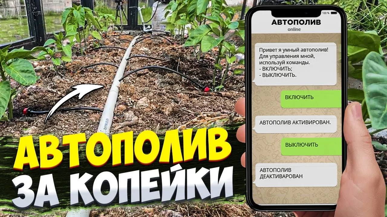Нажми и смотри Нажми и смотри