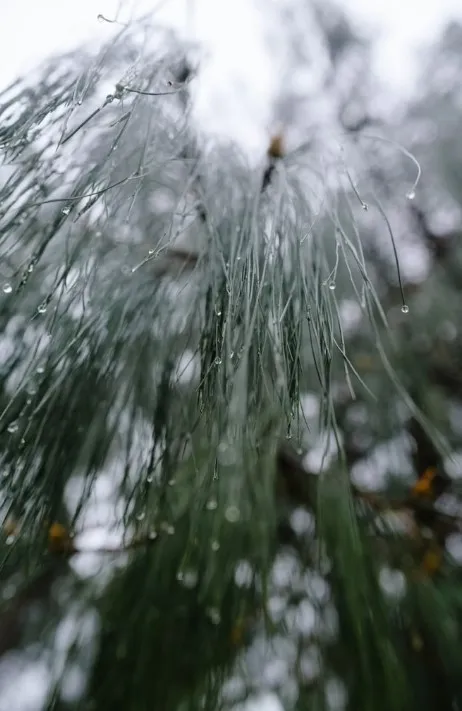 Россиянам пообещали ледяные дожди