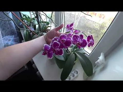Нажми и смотри Нажми и смотри
