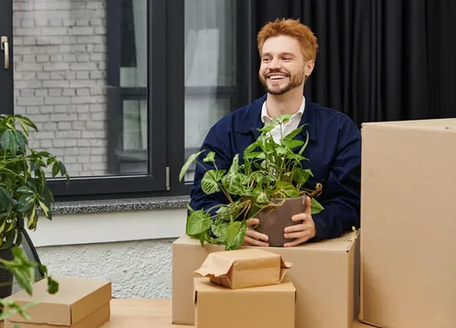 Нужны колышки и полотенца: что делать с комнатными растениями при переезде