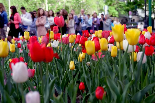 Когда в Россию придёт весна Когда в Россию придёт весна