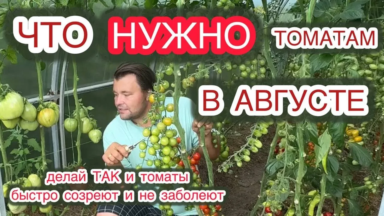 Нажми и смотри