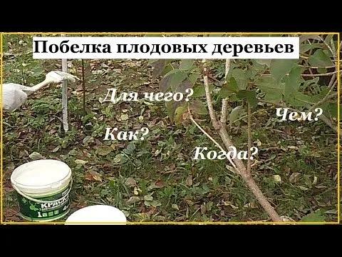 Нажми и смотри