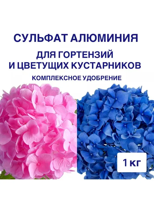 Магия цвета? Это не волшебство, а правильное добавление в почву