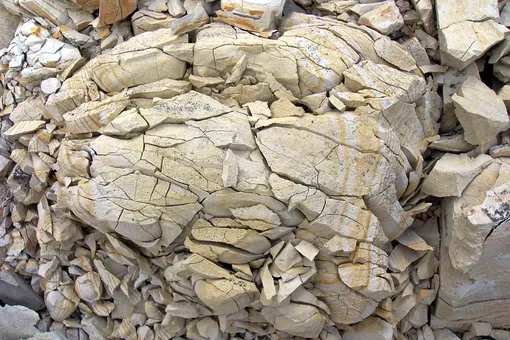 Диатомит: что это такое