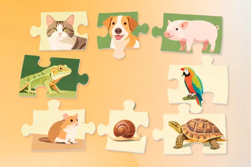 Тест: какое домашнее животное подходит вам по характеру? Тест: какое домашнее животное подходит вам по характеру?