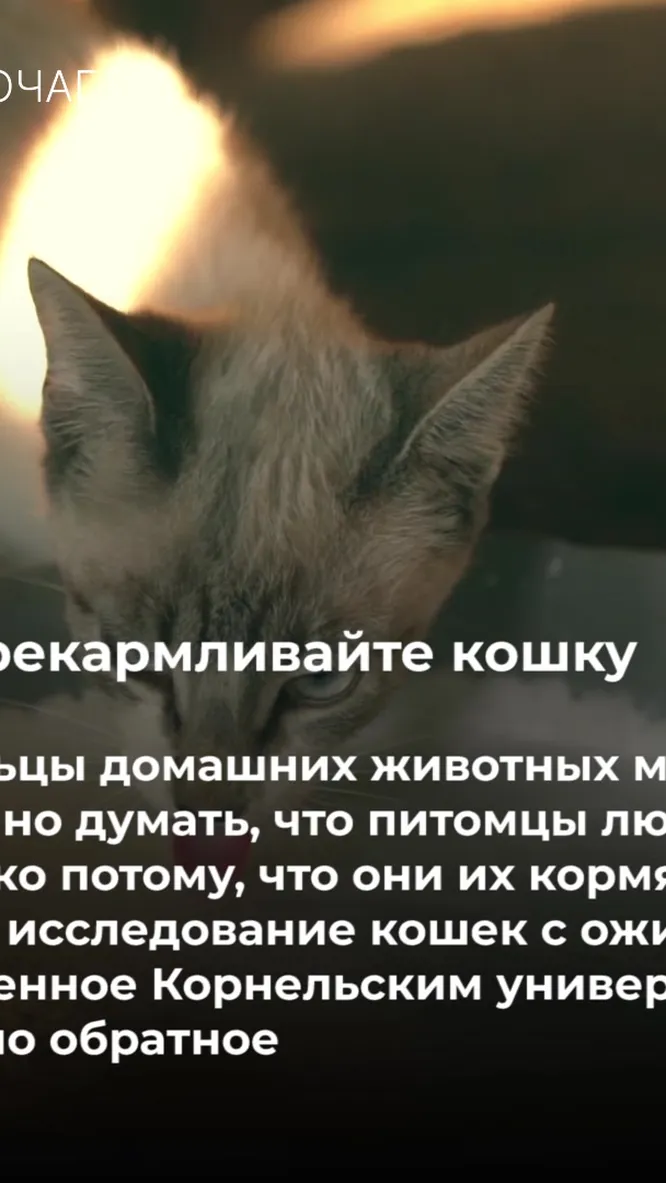 Нажми и смотри