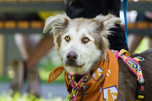 Фонд РЭЙ Фонд РЭЙ