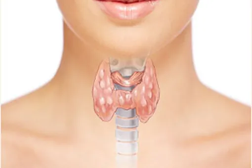 Коварный гипотиреоз: мифы и реальность