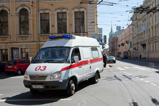 Новорождённую девочку нашли в коробке у мусоропровода в Ленинградской области