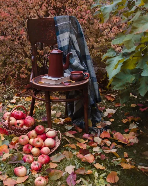 Работы в саду и огороде: 6–12 октября по лунному календарю. Работы в саду и огороде: 6–12 октября по лунному календарю.