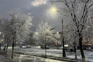 В Московской области массовые отмены и задержки электричек из-за ледяного дождя В Московской области массовые отмены и задержки электричек из-за ледяного дождя