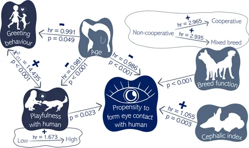 Подробные выводы исследования для тех, кто любит графики и цифры Подробные выводы исследования для тех, кто любит графики и цифры