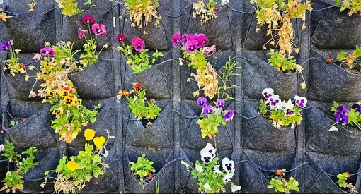 вертикальные грядки вертикальные грядки