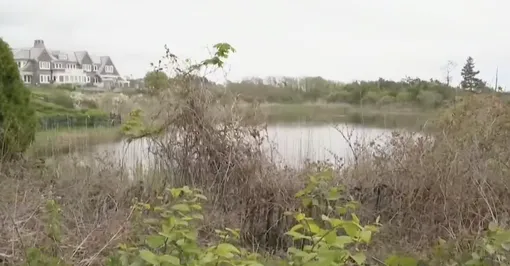 Место, где были обнаружены останки Место, где были обнаружены останки