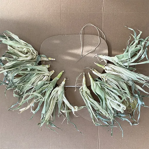 Перья из кукурузных початков Перья из кукурузных початков