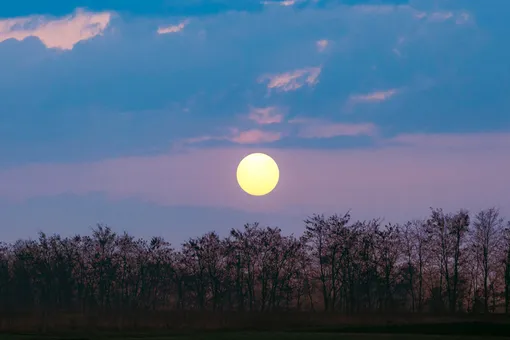 Суперлуние 7 октября: во сколько и где будет видно в России Суперлуние 7 октября: во сколько и где будет видно в России