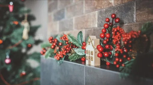 Создайте «живой» уголок стихии Дерева