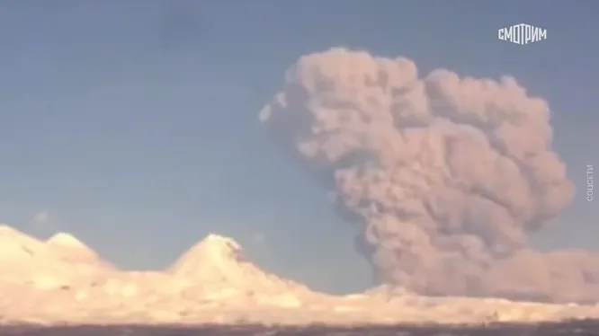 Нажми и смотри