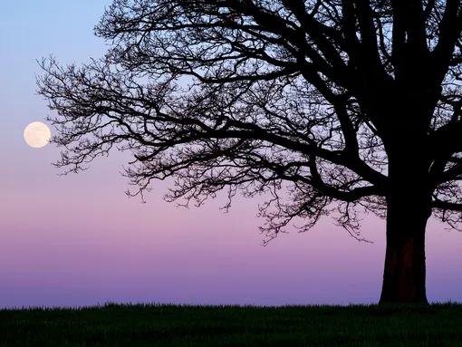 лунный календарь на март 2026 лунный календарь на март 2026