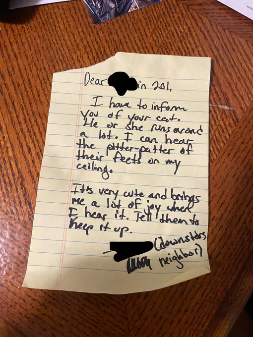 Записка о шумной кошке