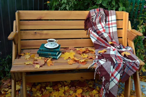 Как подготовить сад и огород к зиме: лунный календарь дачника на неделю с 10 по16 ноября 2025 года