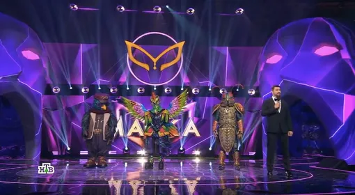 Кандидаты на вылет — Снегирь, Колибри и Жук