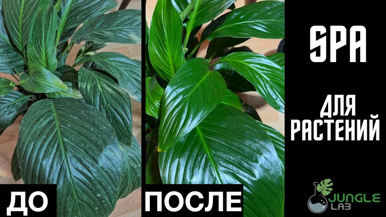 Нажми и смотри
