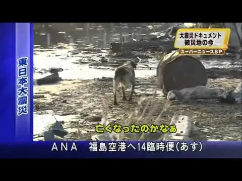 Нажми и смотри
