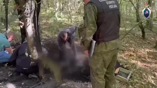 Нажми и смотри Нажми и смотри