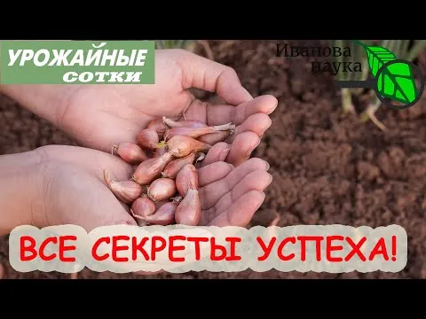 Нажми и смотри