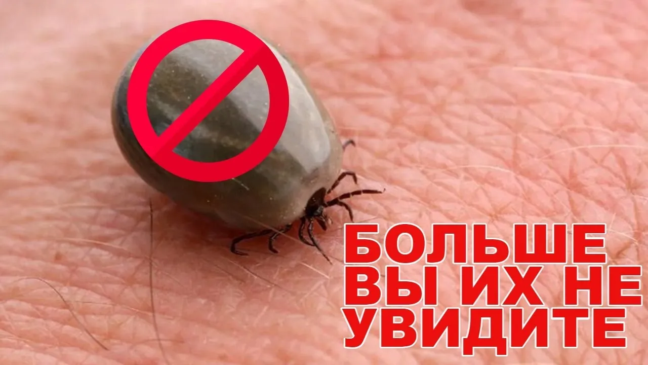 Нажми и смотри Нажми и смотри