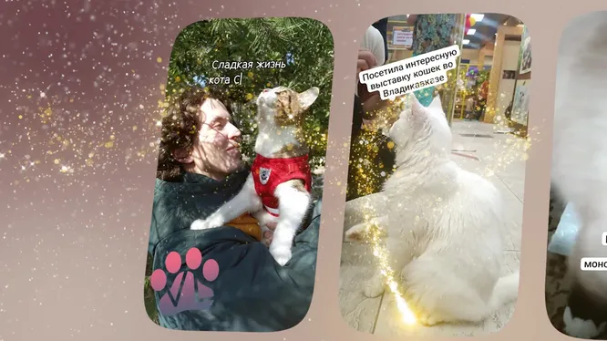 Нажми и смотри Нажми и смотри