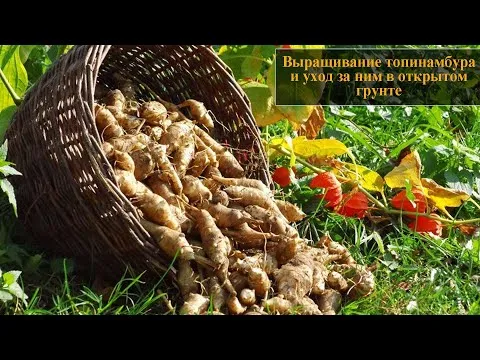 Нажми и смотри