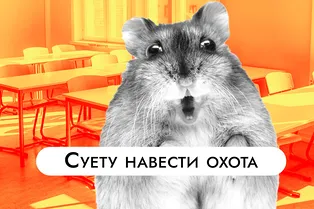 Хомяк организовал большой побег из школы. Дикие скачки попали на видео