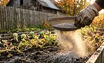Зола — сокровище для 7 групп культур и медленный яд для 5: проверьте свой список до осенней перекопки Зола — сокровище для 7 групп культур и медленный яд для 5: проверьте свой список до осенней перекопки