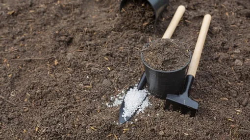 Вносим питание, а не «удобрительные смеси»