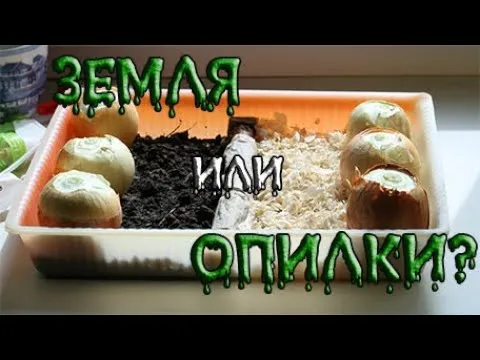 Нажми и смотри Нажми и смотри