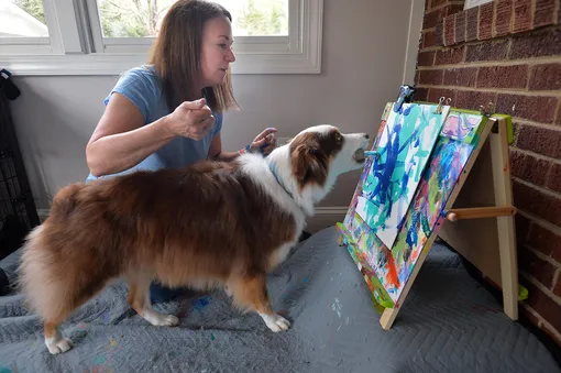 Собаки-художники: как питомцы создают абстрактные картины Собаки-художники: как питомцы создают абстрактные картины