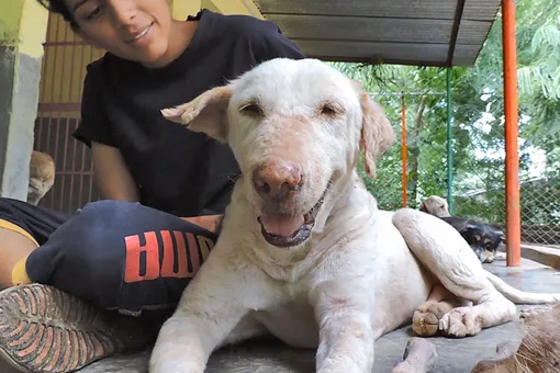 чудесное спасение