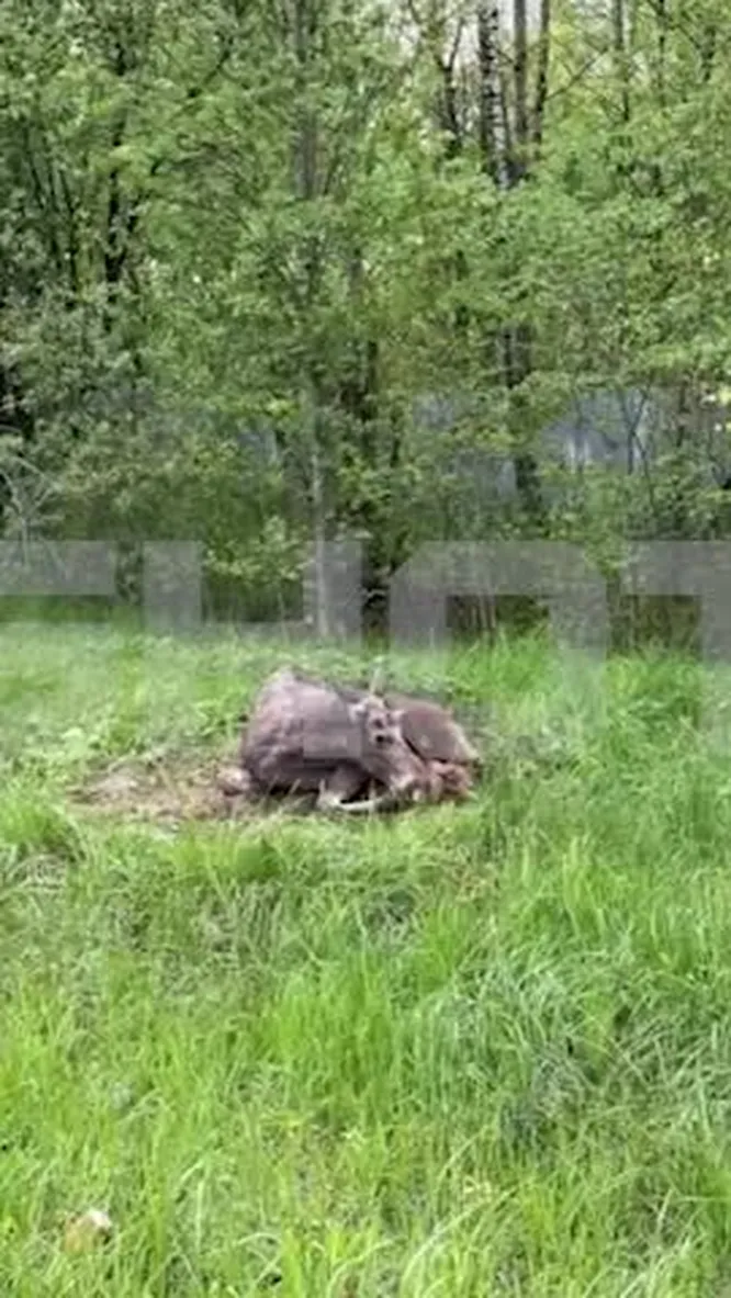 Нажми и смотри