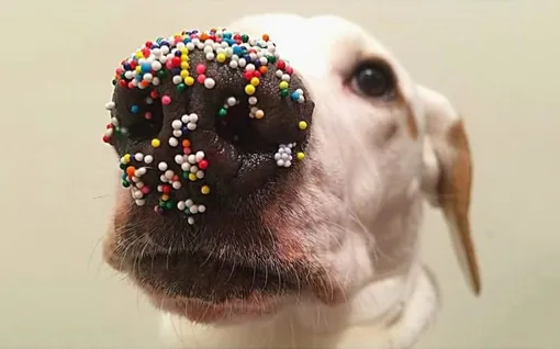 пасха открытки