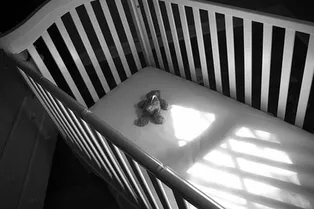 В Томске две большие собаки загрызли насмерть месячного ребенка