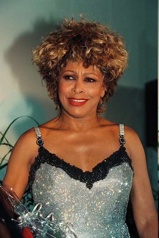 Тина Тёрнер Тина Тёрнер