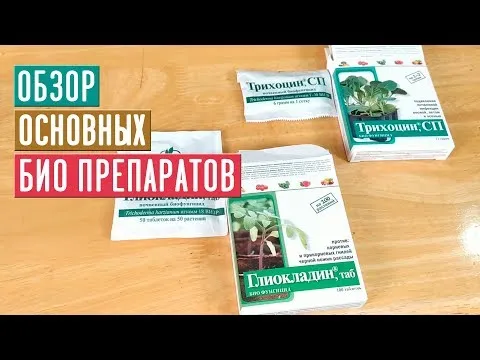 Нажми и смотри