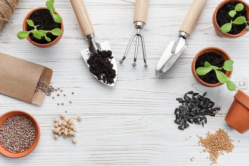 Лунный посевной календарь на март 2026: таблица на 31 день для дачников Лунный посевной календарь на март 2026: таблица на 31 день для дачников